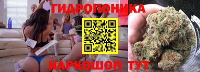 хмурый Малгобек