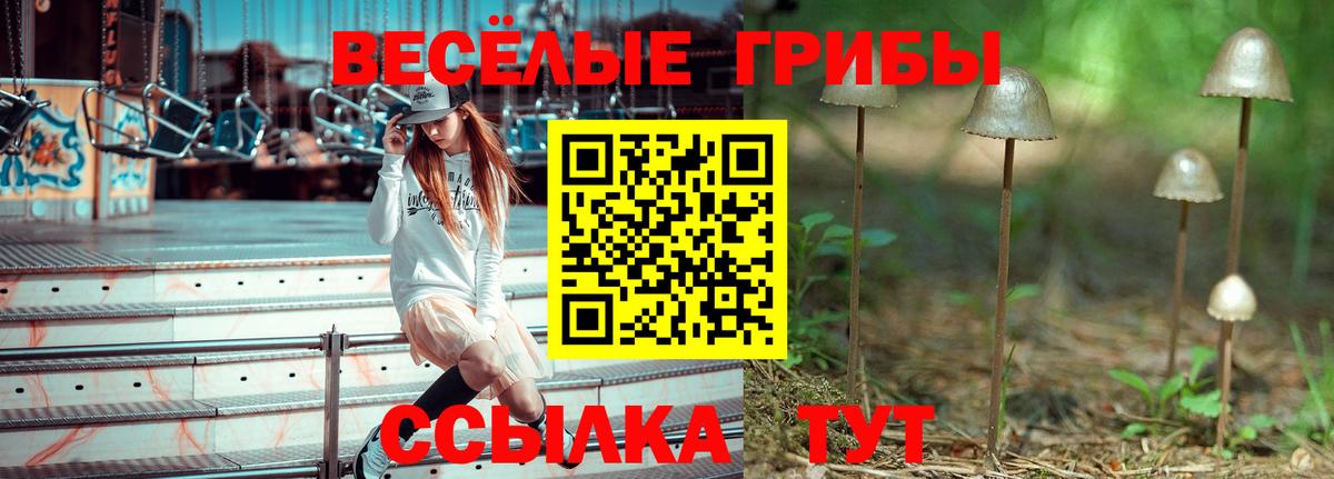 Вичуга  Галлюциногенные грибы MAGIC MUSHROOMS  Вход с VPN 